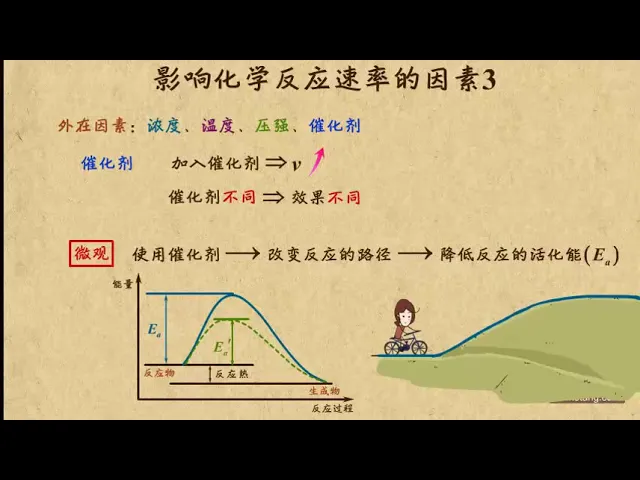 07影响化学反应速率的因素3—催化剂 化学反应速率和化学平衡 高中化学